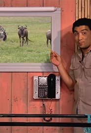 Antilopa Gnu va Afrika Antilopasi. Hayvonot Zamini 2-fasl 10-ko'rsatuv