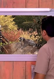 Lemur va Jayra. Hayvonot Zamini 2-fasl 4-ko'rsatuv