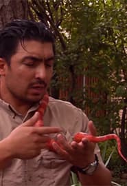 Sudralib yuruvchilar. Hayvonot Zamini 3-fasl 10-ko'rsatuv