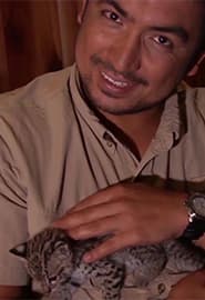 Yovvoyi mushuklar.Hayvonot Zamini 3-fasl 12-ko'rsatuv