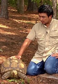 Shimoliy Afrika hayvonot olami. Hayvonot Zamini 3-fasl 13-ko'rsatuv