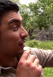 Primatlar. Hayvonot Zamini 3-fasl 4-ko'rsatuv