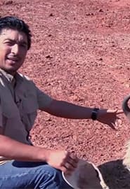 Qoramollar. Hayvonot Zamini 3-fasl 8-ko'rsatuv